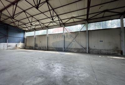 Hală/depozit, platforma betonata 600mp, Stefănești langa Centura - 9