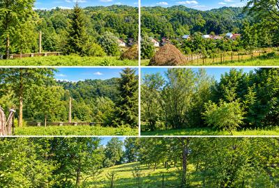 Teren Breaza 7000Mp intravilan - Valea Tarsei - 6