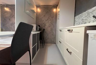 420€, studio deosebit, Romana(Gradina Icoanei) - 7
