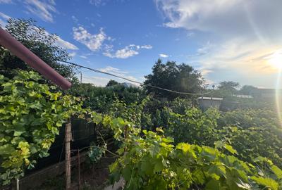 Confort, grădină și liniște la câteva minute de Galați | Casă in Tulucești - 8