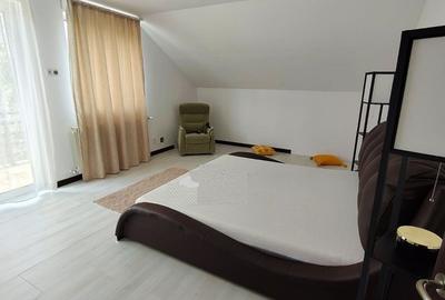 Casa impunatoare D+P+M, 280 mp utili, teren 850 mp,  în Europa - 11