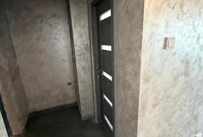 Apartament 1 camera Ic Frimu- Ireg renovat - 5