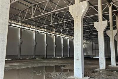 Spatiu Industrial - 4500 mp - Logistica - Depozitare - Productie - 5