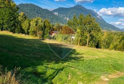 Teren 1,500mp Zarnesti zona Tohanita, priveliste deosebita, intre case - 2