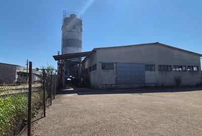 Spatii industriale 1.5Eur/mp - 2
