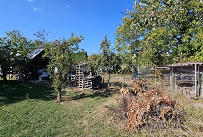 0 % comsion, Casa in zona de exceptie, teren 722 mp, Gheorgheni - 5