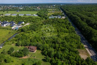 Teren 5.515 mp lângă Lidl Snagov – Ieșire la Lacul Snagov - 9