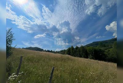 Teren cu potențial turistic, cadru natural rar, 20.000 mp  Sacuieu - 4