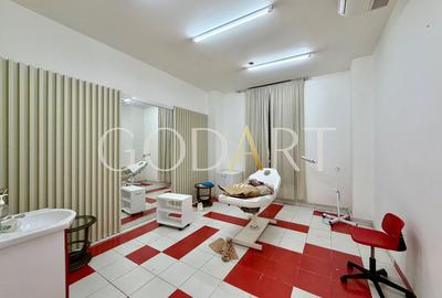 Spațiu comercial stradal | Bd. Lacul Tei | Expunere excelentă - 6