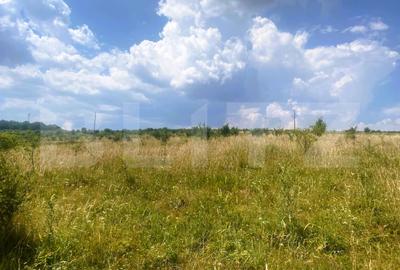 Teren Construcții intravilan de 1100 mp, în Sălicea