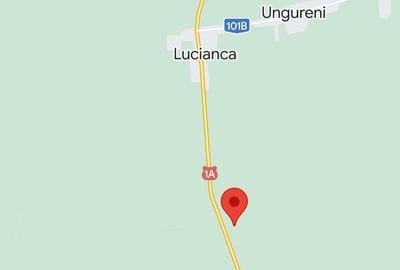 Teren extravilan 10.000 mp - Lucianca - Butimanu - 1
