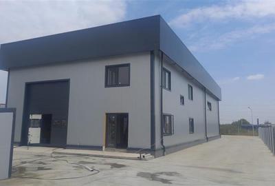 Vanzare depozit/hala/spatiu industrial Domnesti - Centura, Ilfov - 1
