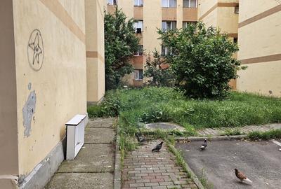 Apartament cu 2 camere de vânzare în zona Maratei - 22
