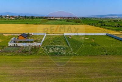 Teren intravilan cu CU-BOD- ZONA CISMASU- 1,020mp / Strada Iasomiei - 6