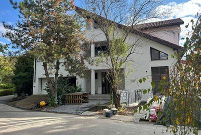 Casa Vila noua , lux  Iancu Nicolae Baneasa - Pipera de inchiriat - 2