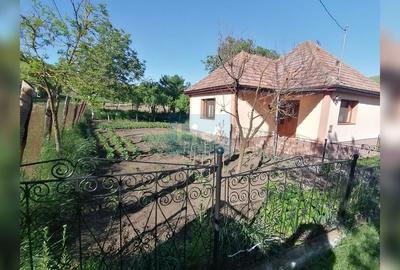 Casa familiala cu gospodarie,teren 60 arii,cătun Ploscoș, 0 comision! - 10