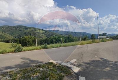 Teren 130000 mp extravilan, faneata si padure, Munteni - Bulz, Negreni - 9