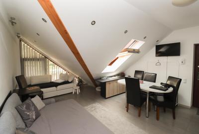 Apartament 2 camere vedere la Bucegi - 3