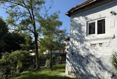 Casă de vânzare in natura la tara - Mihaesti - 31