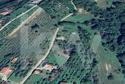 Teren Intravilan 977 mp de Vânzare în Cisnădioara – Locație de Poveste - 9