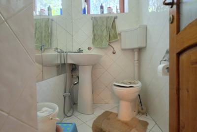Vila individuala Chiajna - Rosu, peste 400 mp construiti, teren 1250 mp - 16