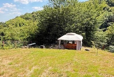 Valea Rosie, teren intravilan 3434mp, langa padure. - 8