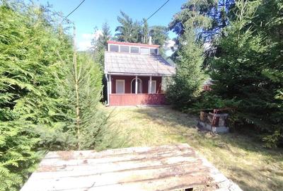 Casa de vacanta (Gheorgheni, zona km 4) - 19