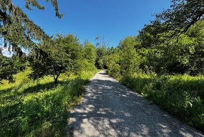 Teren doua loturi 3100 mp. - 2800 mp. Dăesti - Valcea - 10