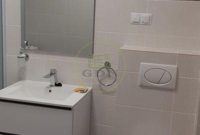 Apartament 2 camere de inchiriat Doamna Stanca - 14