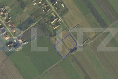 Teren Construcții intravilan de 4400 mp, în Vetiș