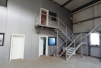 Magurele,hala 1000 mp,constructie noua ,ideal depozitare,productie - 11