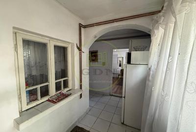 Casa plan parter, 462 mp, 100 mp utili, Brestei, zona Ambassador - 10