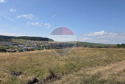 Teren Construcții intravilan de 843 mp, în Chinteni