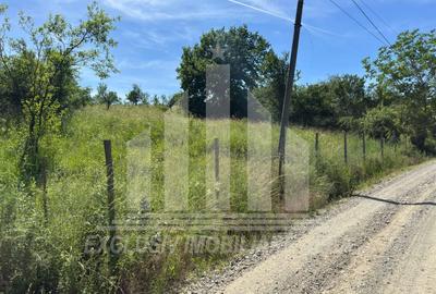 Teren intravilan | 1654 mp | 21 ml deschidere | Seigau - 2