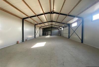 Hala de inchiriat- Strada DN2E Falticeni - 3