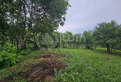 Teren intravilan 1340mp ideal pentru casa in Sat Gheorghieni! - 1