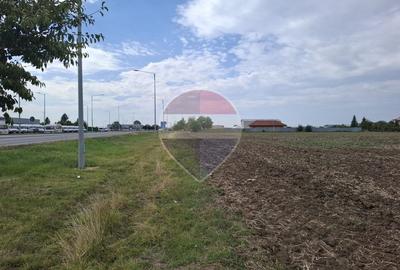 Investitie vanzare teren intravilan 26.666mp la DN3| Vizavi de Makita| - 5