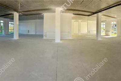 Spatiu comercial situat in zona Calea Surii Mici din Sibiu - 3