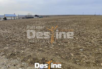 Teren Construcții intravilan de 8100 mp, în Dumești