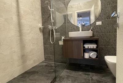 Apartament 2 Camere Herastrau cu parcare si terasa - 6
