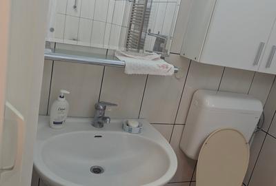 Casa Domenii Herăstrău, 4 camere, 2 băi, curte proprie. - 15