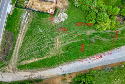 Teren intravilan 1273 mp zona Bran(Tohanita) la 50 m de drumul asfaltat - 6