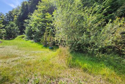 Teren Construcții intravilan de 1195 mp, în Făget