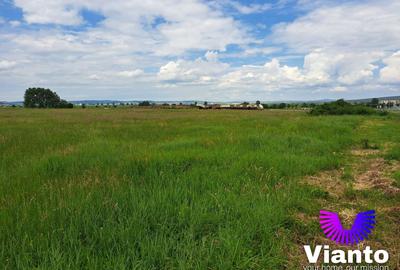 Oportunitate Teren Intravilan 9000mp-Turnisor - 2