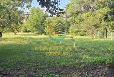 Vanzare casa noua individuala 230 mp Parcul Tineretului - 4