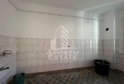 Casa individuala  7 camere, 3 bai, garaj, teren 1129 mp, zona Iosefin - 10