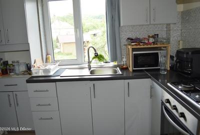 Nucsoara - Casa cu teren 600 mp - 15