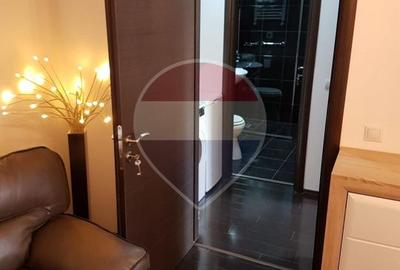 Inchiriere Apartament cu 2 camere în zona P-ta Victoriei - 15