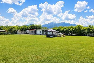 Cabana moderna, teren 1.640 mp, foisor, gratar, atmosfera de vacanta, Rasnov, Br - 28