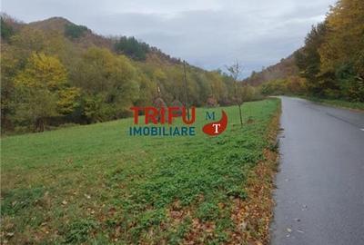 Teren Construcții intravilan de 5542 mp, în Galda de Jos
